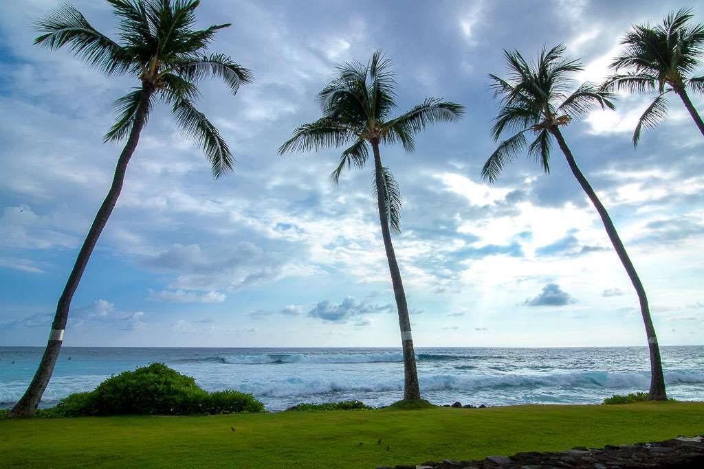 Kona Reef Hotel Kailua Szoba fotó